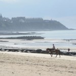plage_cheval